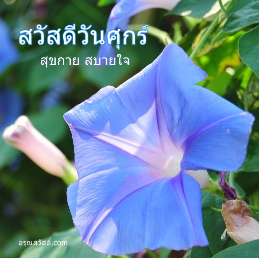 สวัสดีวันศุกร์