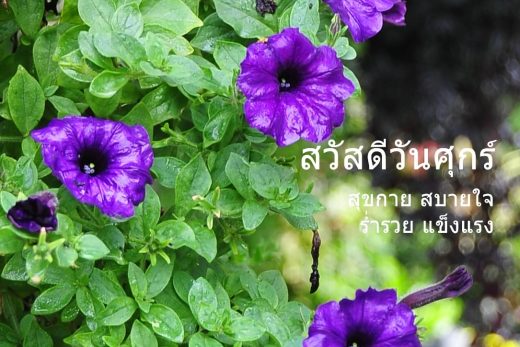สวัสดีวันศุกร์