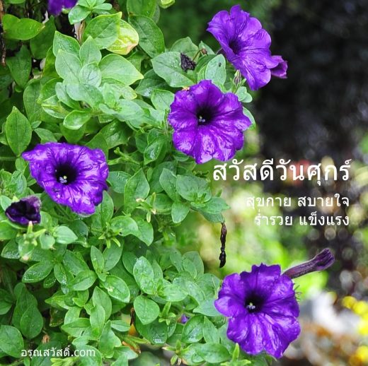 สวัสดีวันศุกร์