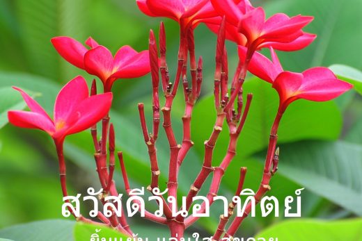 สวัสดีวันอาทิตย์