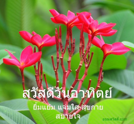 สวัสดีวันอาทิตย์