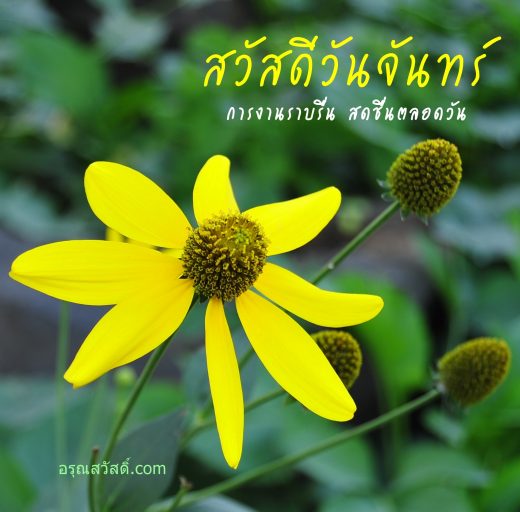 สวัสดีวันจันทร์