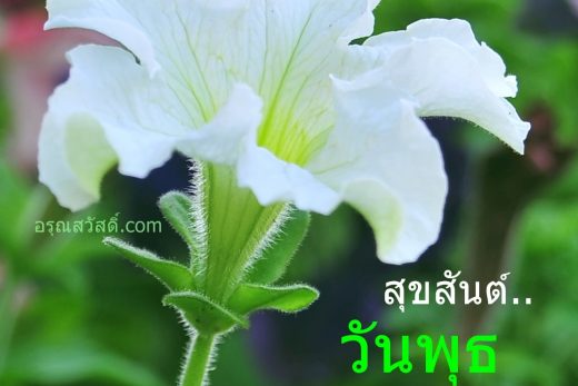 สวัสดีวันพุธ