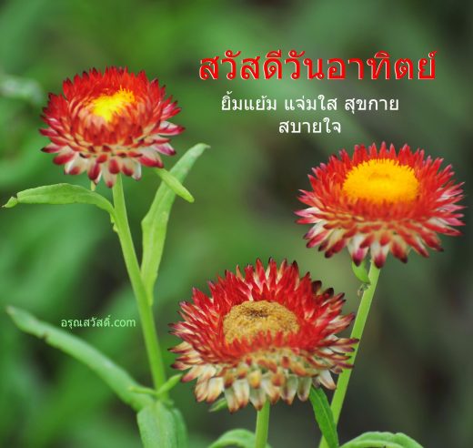 สวัสดีวันอาทิตย์