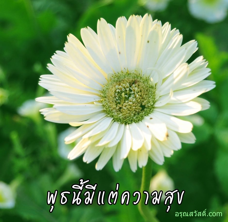 สวัสดีวันพุธ