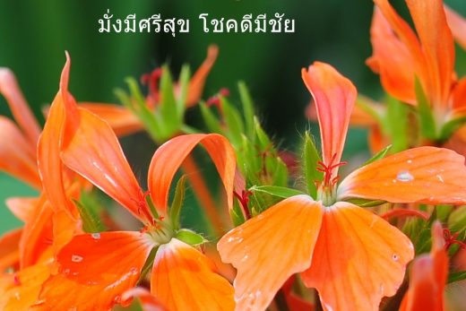 สวัสดีวันพฤหัสบดี