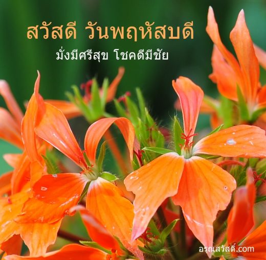 สวัสดีวันพฤหัสบดี