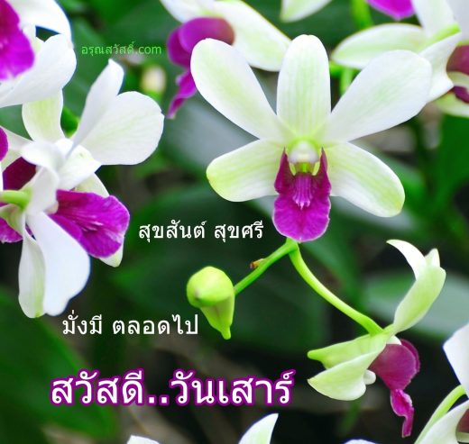 สวัสดีวันเสาร์