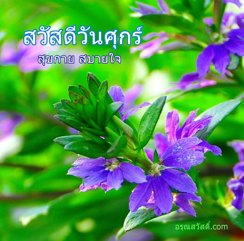 สวัสดีวันศุกร์