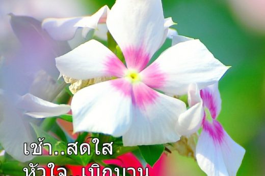 สวัสดีวันอังคาร