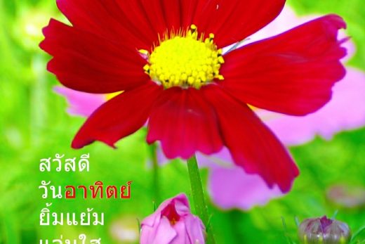 สวัสดีวันอาทิตย์