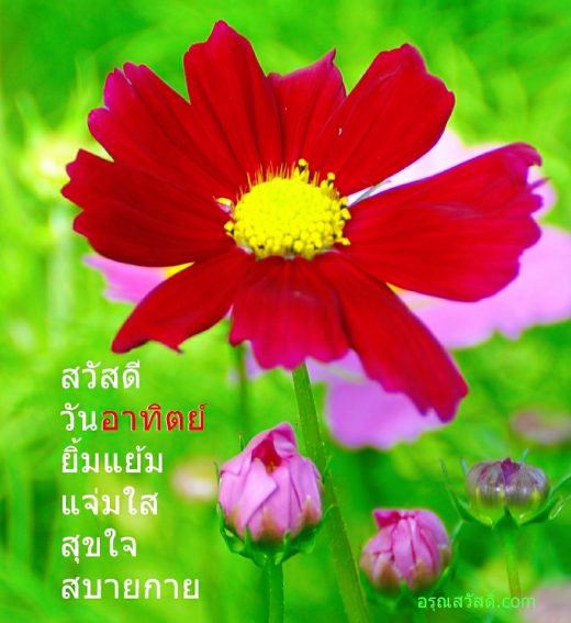 สวัสดีวันอาทิตย์