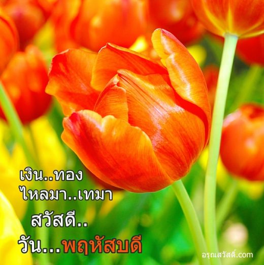 สวัสดีวันพฤหัสบดี