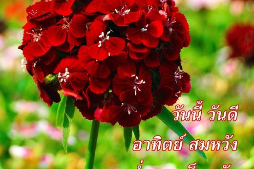 สวัสดีวันอาทิตย์