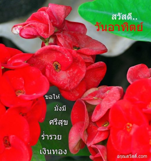 สวัสดีวันอาทิตย์