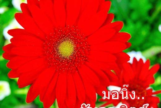 มอนิ๊งวันอาทิตย์