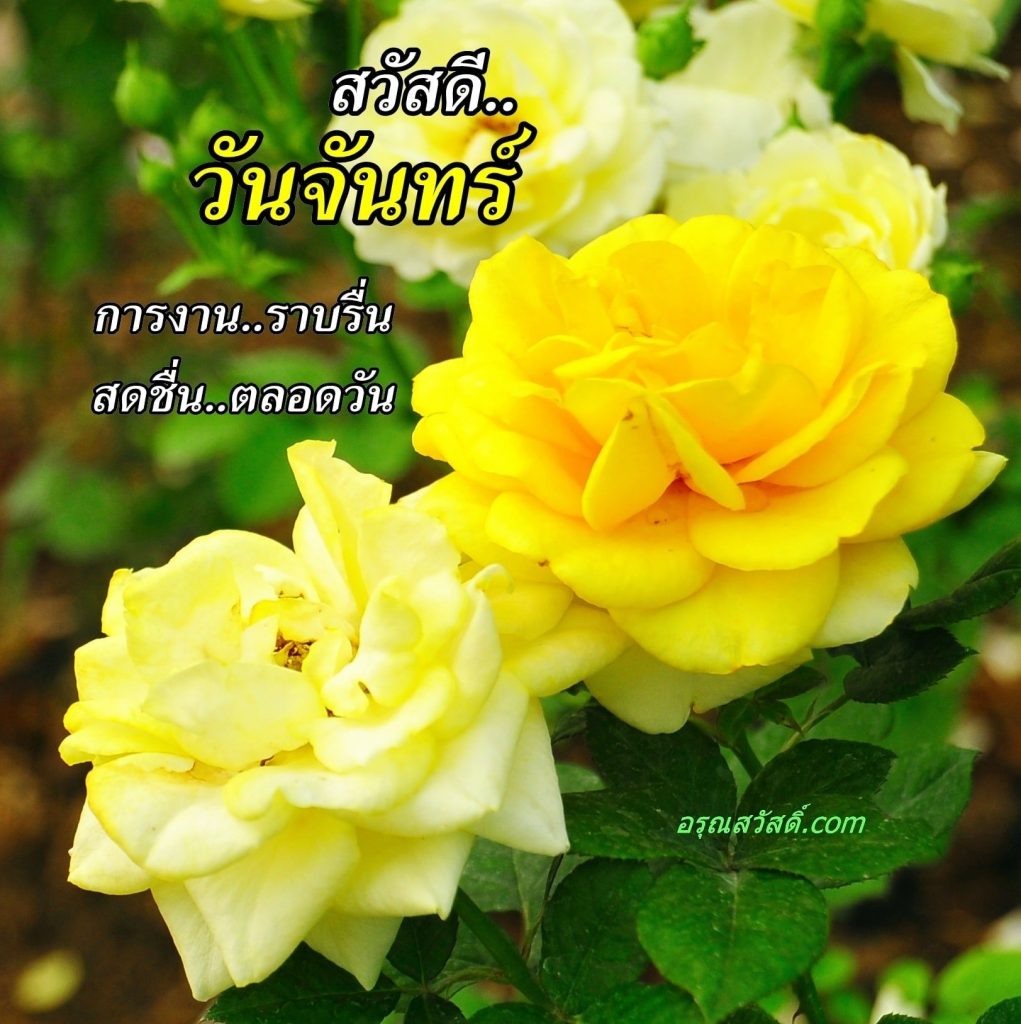 สวัสดีวันจันทร์