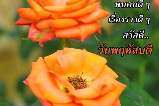 สวัสดีวันพฤหัสบดี