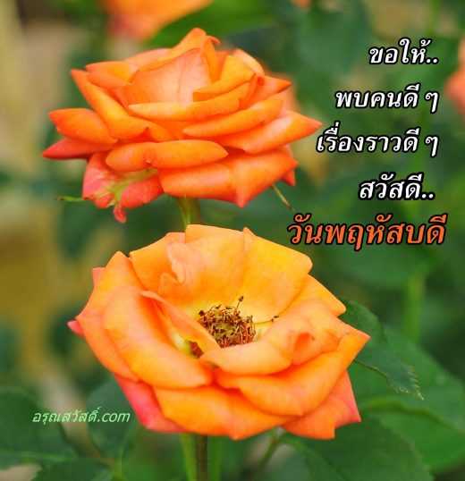 สวัสดีวันพฤหัสบดี