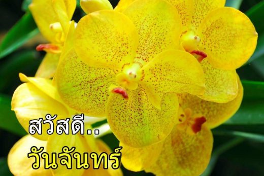 สวัสดีวันจันทร์