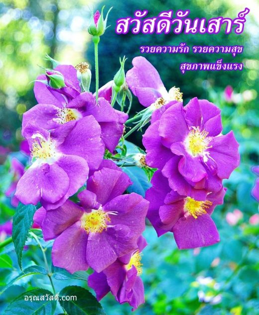สวัสดีวันเสาร์
