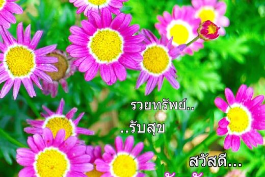 สวัสดีวันอังคาร