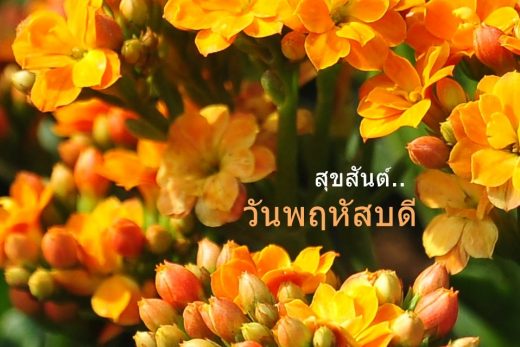 สวัสดีวันพฤหัสบดี