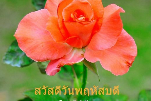 สวัสดีวันพฤหัสบดี