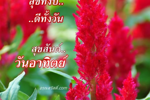 สวัสดีวันอาทิตย์