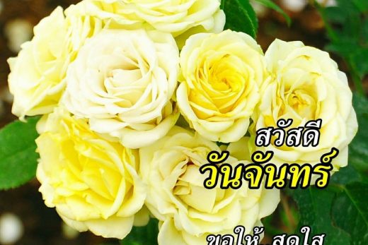 สวัสดีวันจันทร์