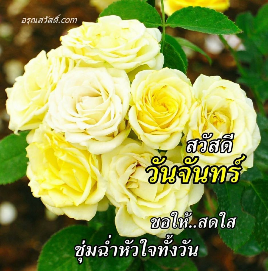 สวัสดีวันจันทร์