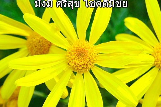 สวัสดีวันจันทร์