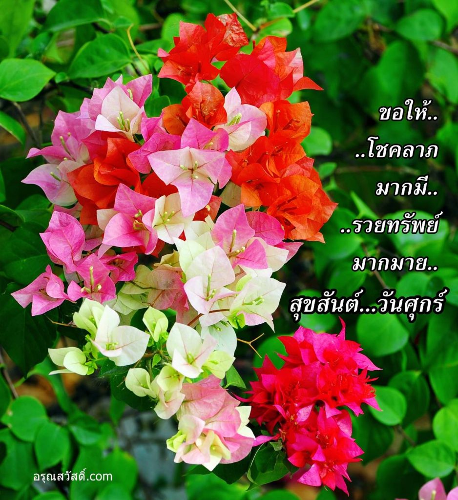 สวัสดีวันศุกร์