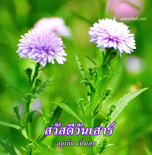 สวัสดีวันเสาร์