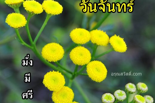 สวัสดีวันจันทร์