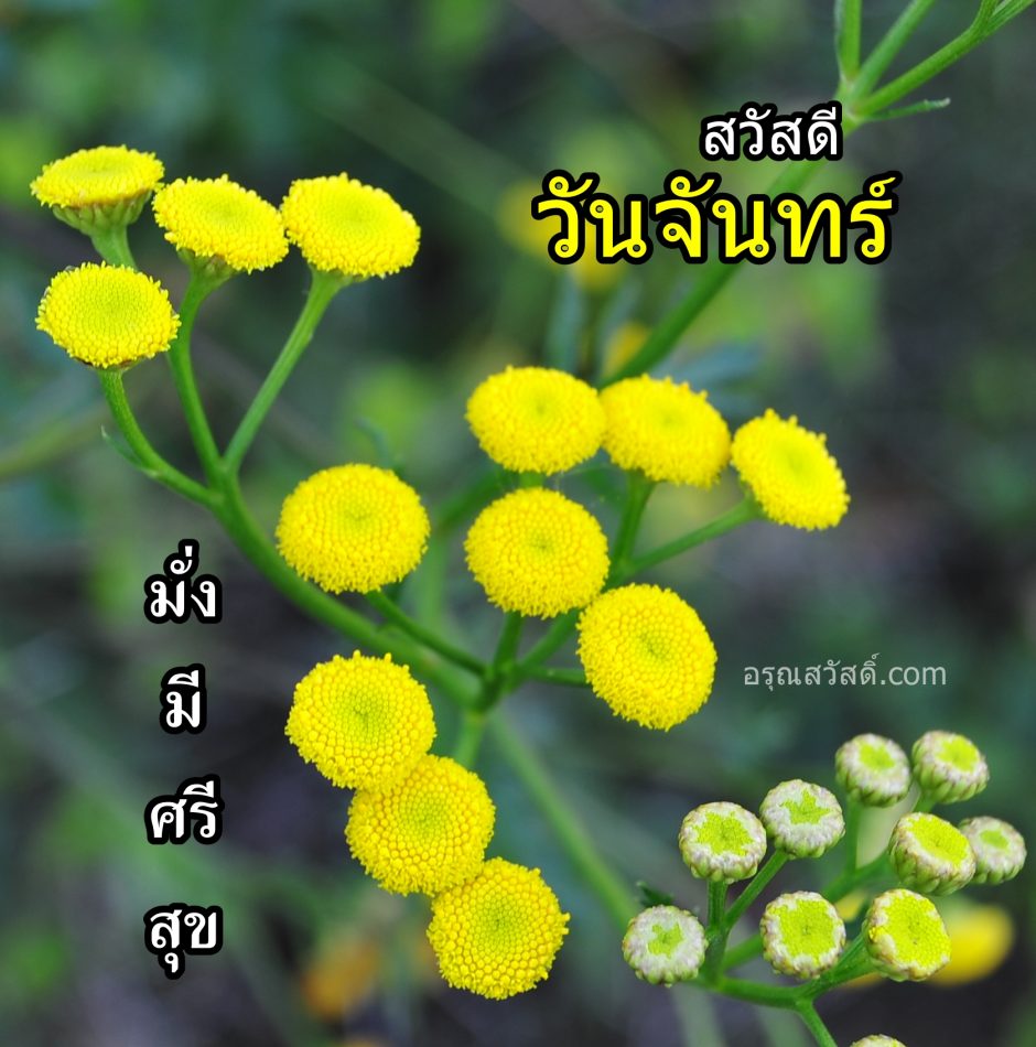 สวัสดีวันจันทร์