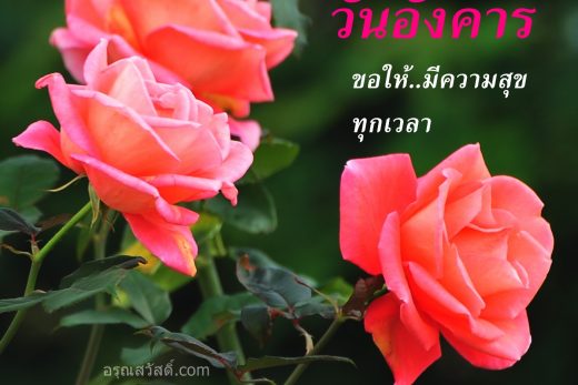 สวัสดีวันอังคาร