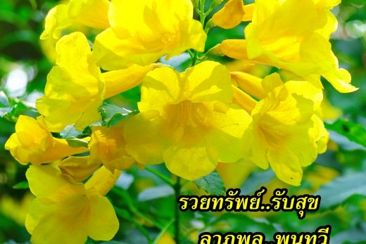 สวัสดีวันจันทร์