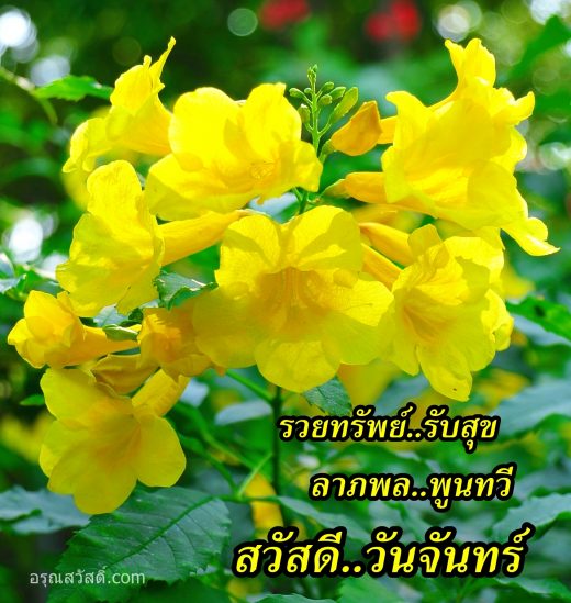 สวัสดีวันจันทร์