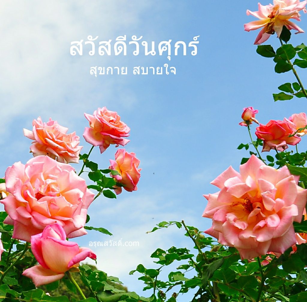สวัสดีวันศุกร์