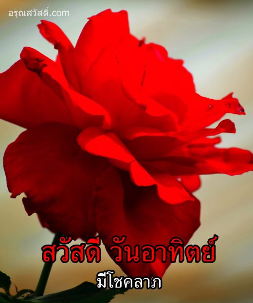 สวัสดีวันอาทิตย์