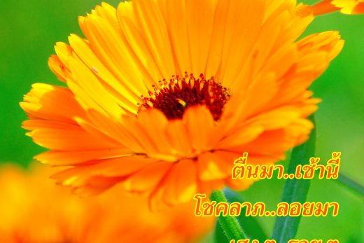 สวัสดีวันพฤหัสบดี