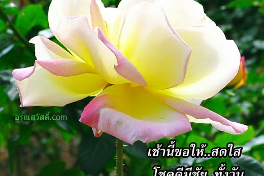 สวัสดีวันจันทร์
