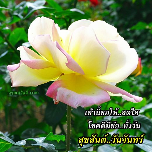 สวัสดีวันจันทร์