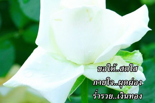 สวัสดีวันพุธ