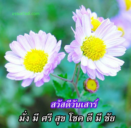 สวัสดีวันเสาร์