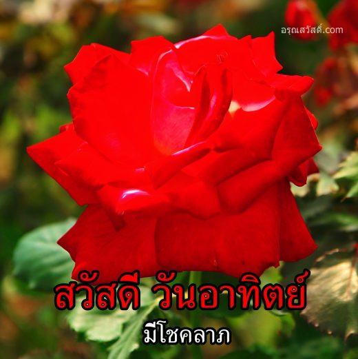 สวัสดีวันทิตย์