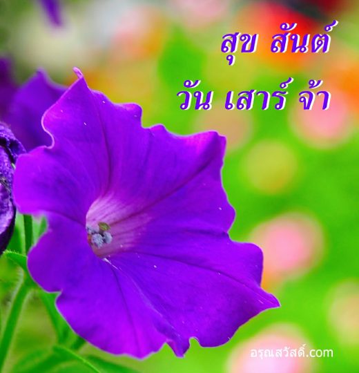 สวัสดีวันเสาร์
