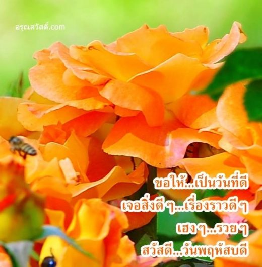 สวัสดีวันพฤหัสบดี
