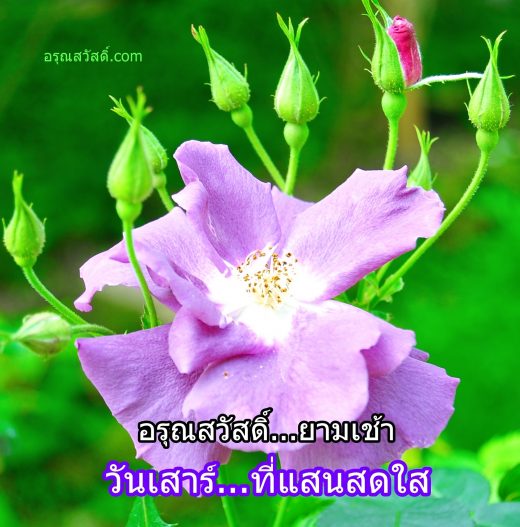 สวัสดีวันเสาร์